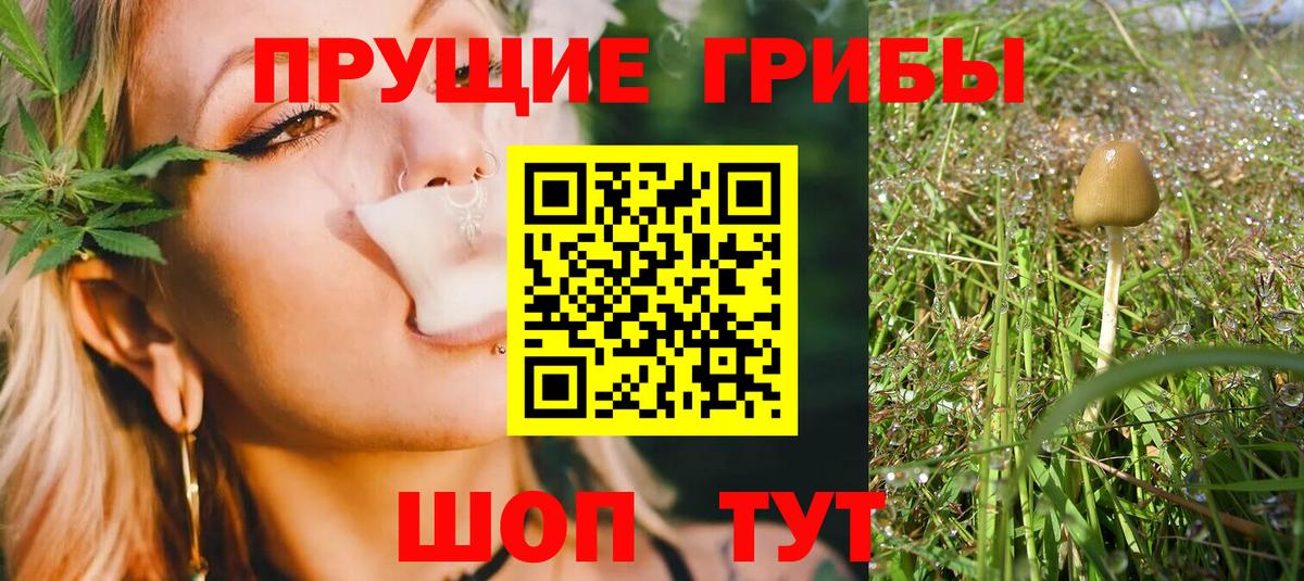 Учалы  Галлюциногенные грибы Psilocybine cubensis  Псилоцибиновые грибы Magic Shrooms  наркошоп  Вход с VPN 