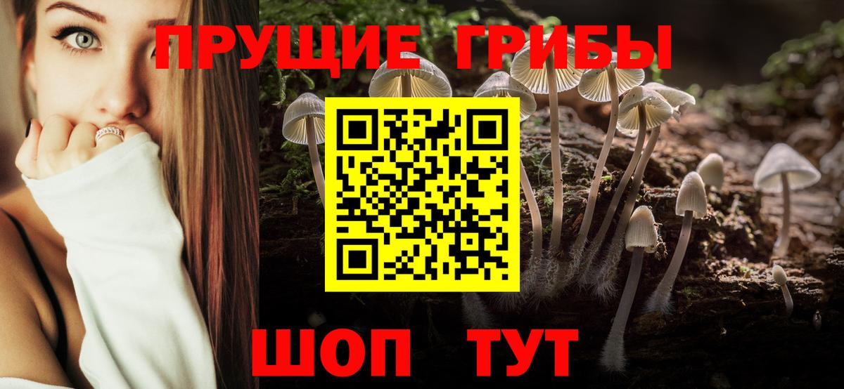 Псилоцибиновые грибы MAGIC MUSHROOMS Учалы